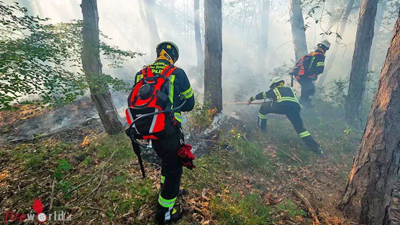 Nö: Waldbrand durch Lagerfeuer in Mödling → Feuerwehren und Hubschrauber im Einsatz