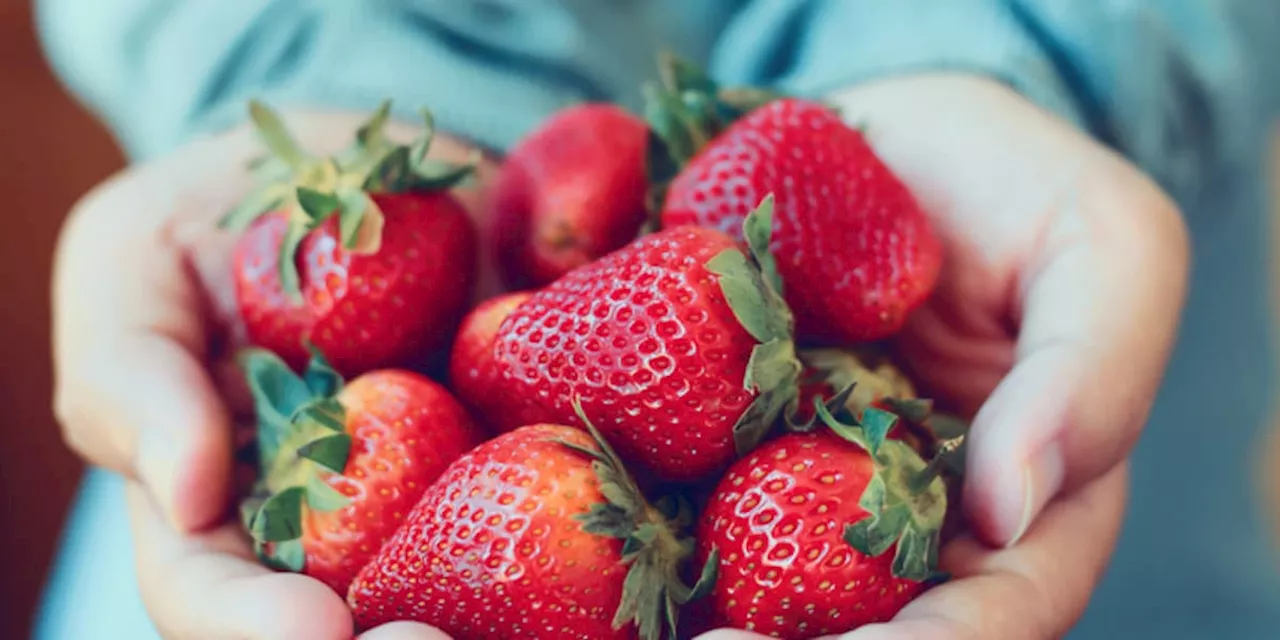 Rotes Power-Obst: Jeden Tag Erdbeeren essen – das passiert in Ihrem Körper