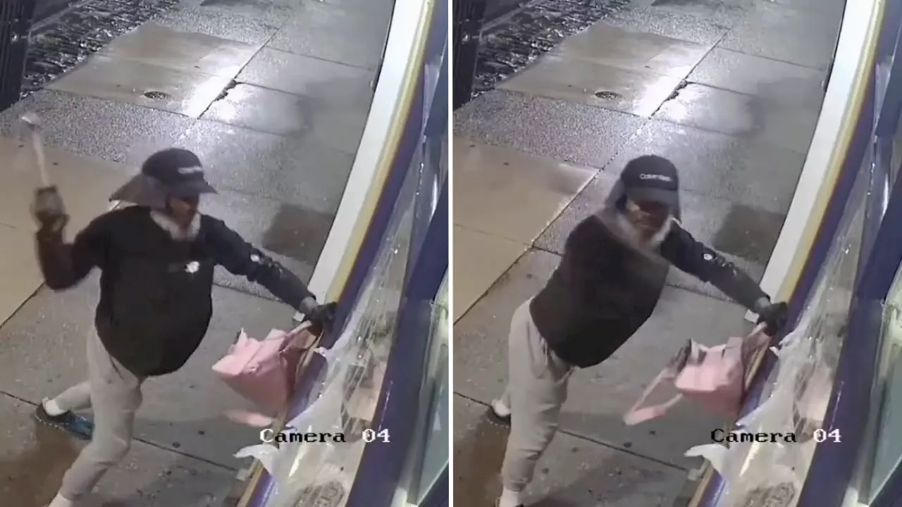 Video shows man smash through Philadelphia storefront window, steal high-end purses