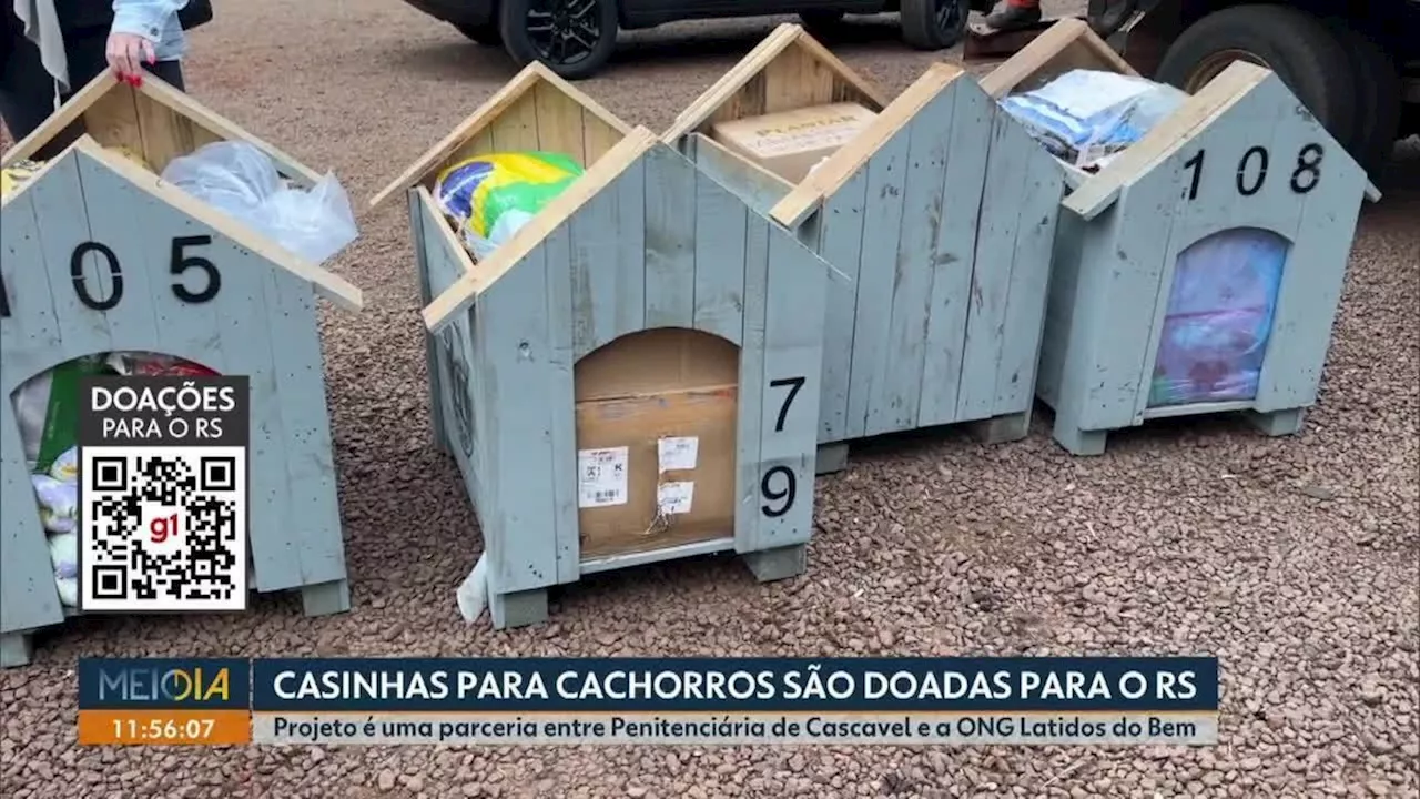 Casinhas para cachorros construídas por detentos do Paraná são doadas para o Rio Grande do Sul