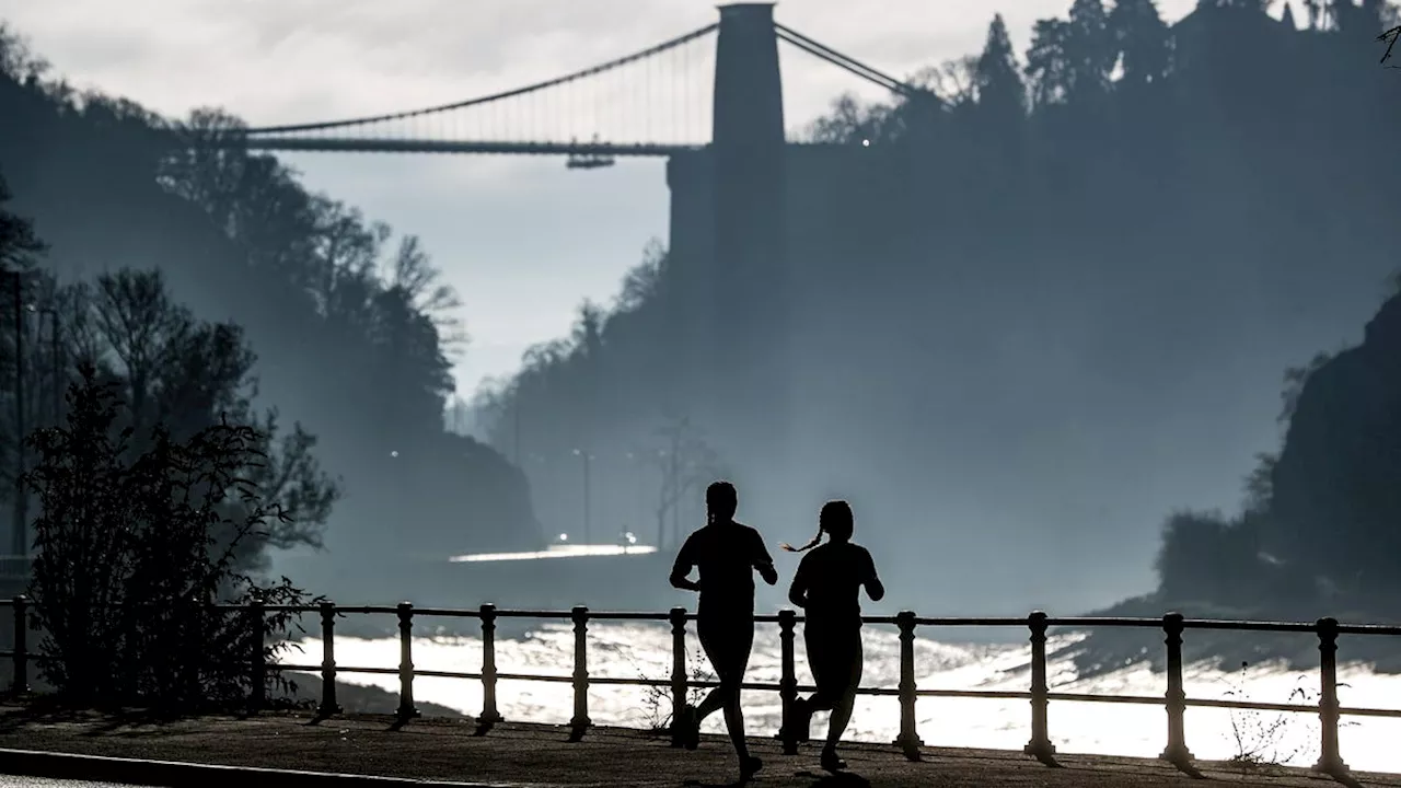 Exercise Changes the Way Our Bodies Handle Saturated Fat, Study Finds