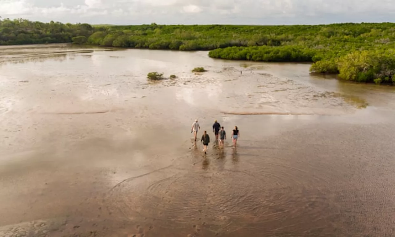 Five authentic Aboriginal food experiences to put on your Western Australian itinerary