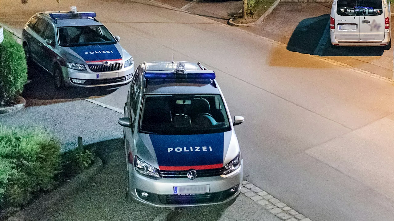 Polizei ist fassungslos, was sie alles in Auto findet