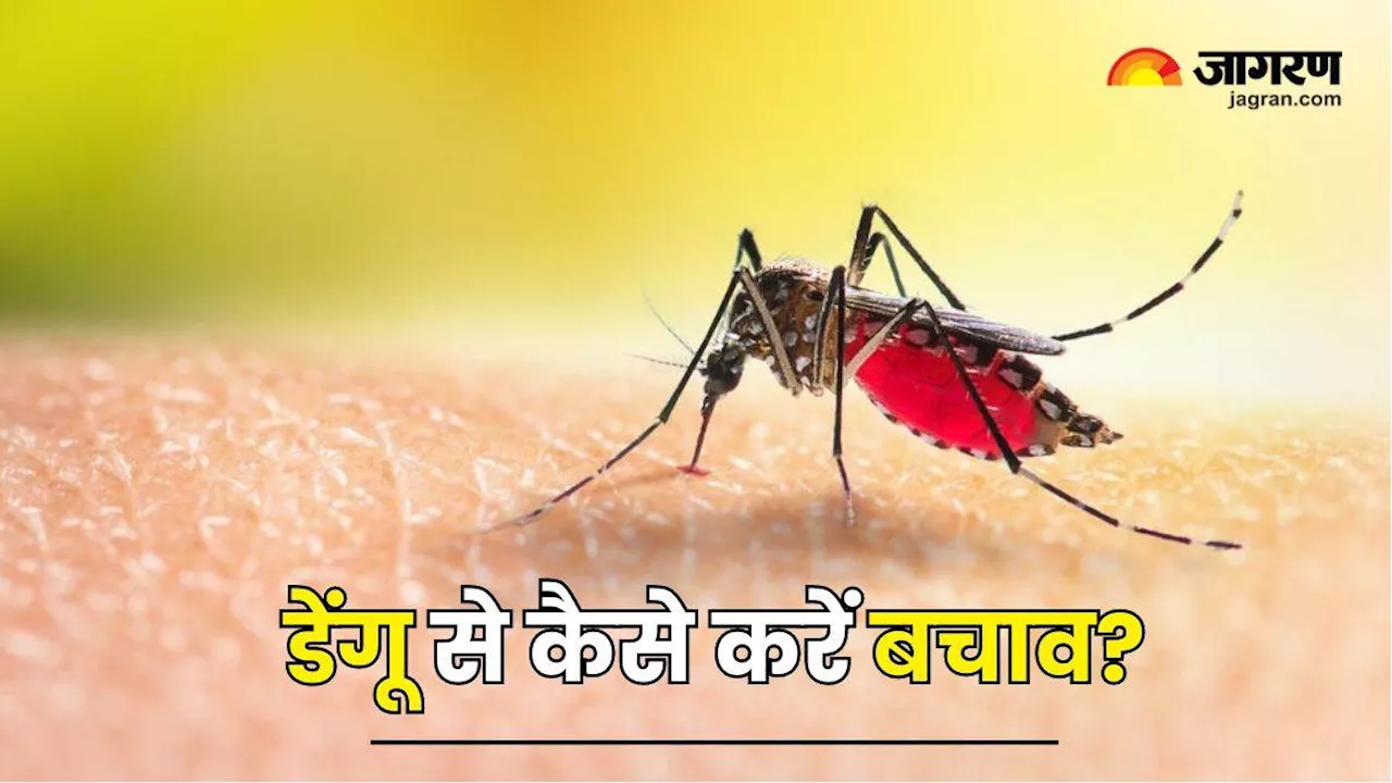 World Dengue Day 2024: घातक हो सकता है डेंगू का वार, एक्सपर्ट के बताए इन तरीकों से करें खुद का बचाव