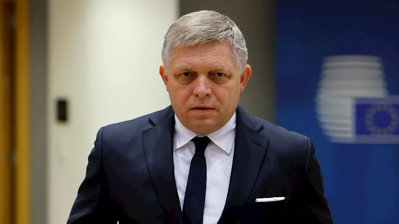 'Lone wolf' charged in shooting of Slovak prime minister ahead of EU elections