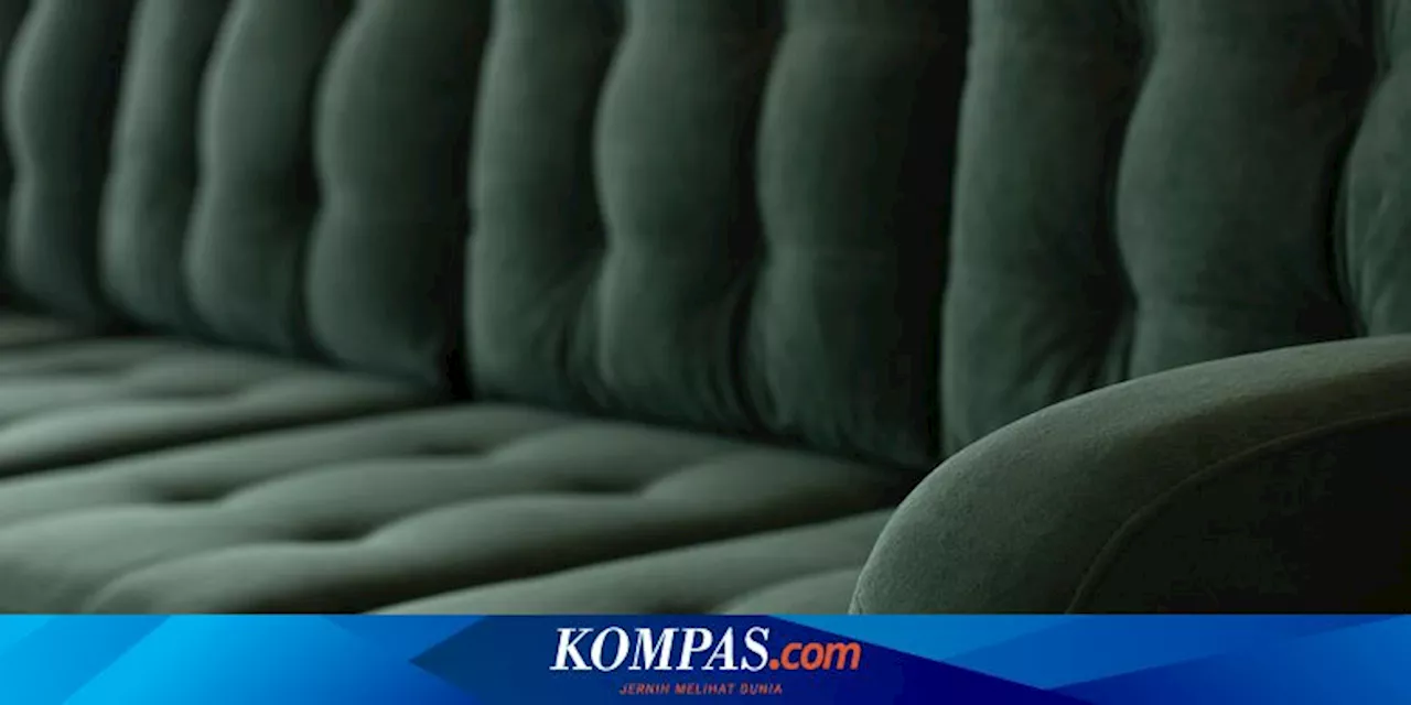 Cara Membersihkan Furnitur Beludru agar Terlihat Cantik