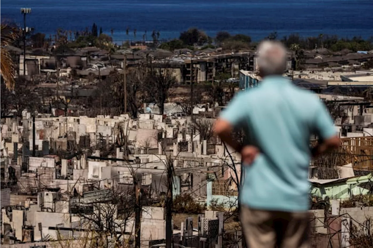 Hawaii study shows almost 75% of Maui wildfire survey participants have respiratory issues