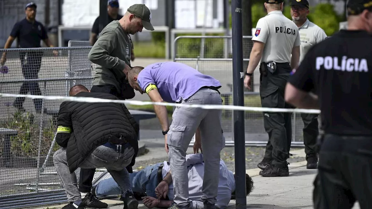 Slovak authorities charge 'lone wolf' with assassination attempt on the prime minister