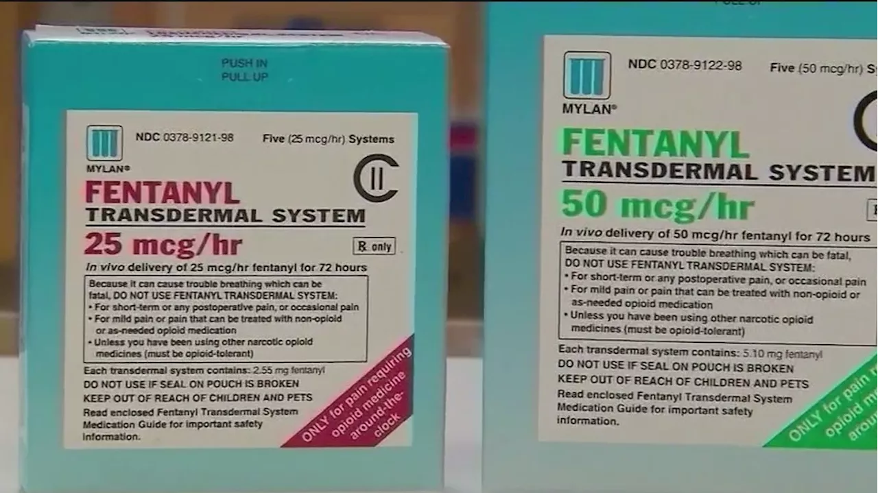 Drug overdose deaths slightly decline but crisis is far from over in the Bay Area