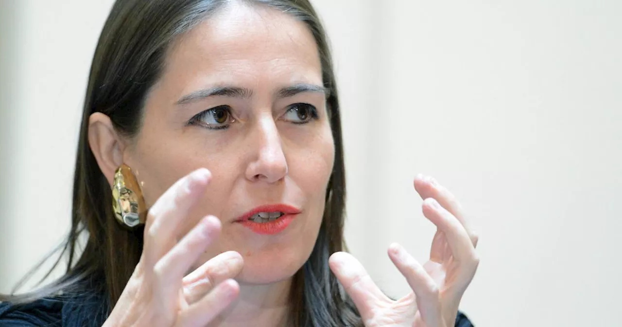 Alexandra Föderl-Schmid hat nicht plagiiert