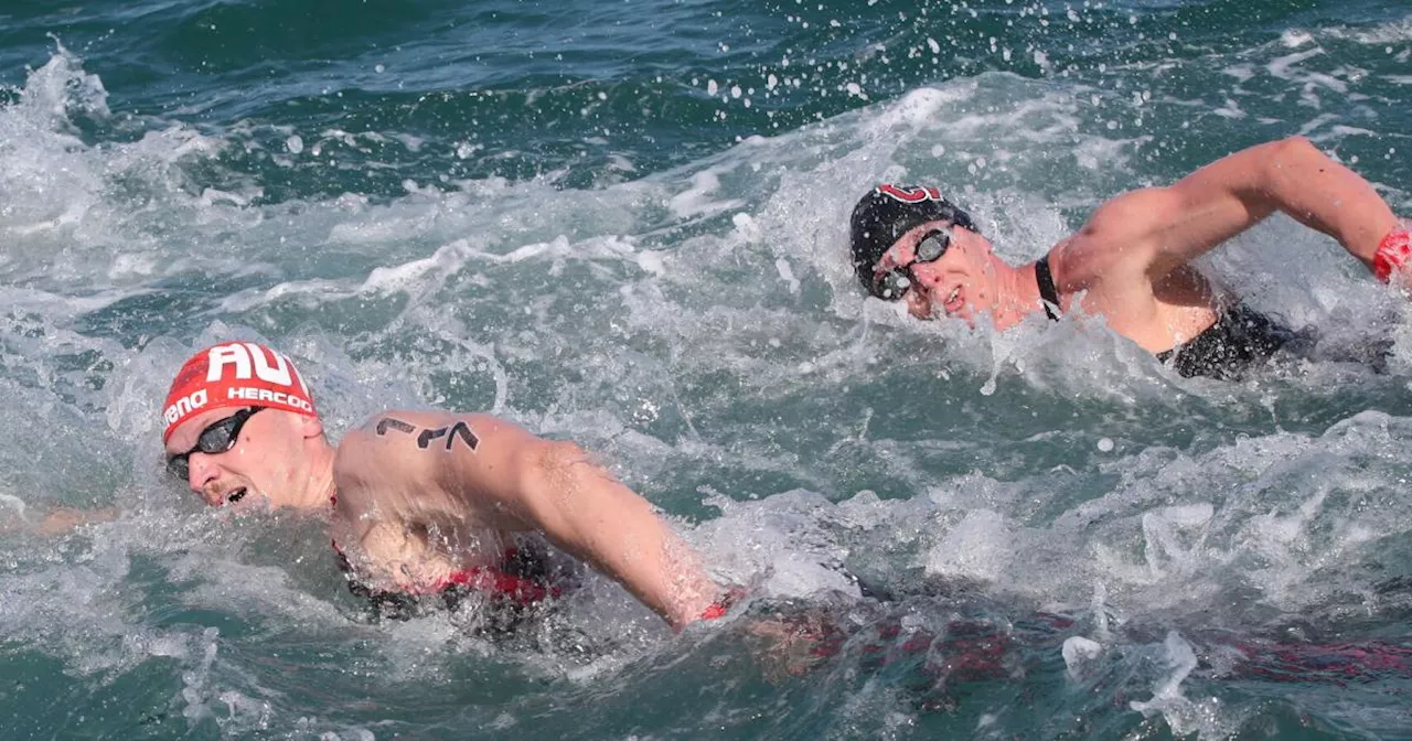 Schwimm-EM der Junioren als Startschuss für weitere Events in Wien