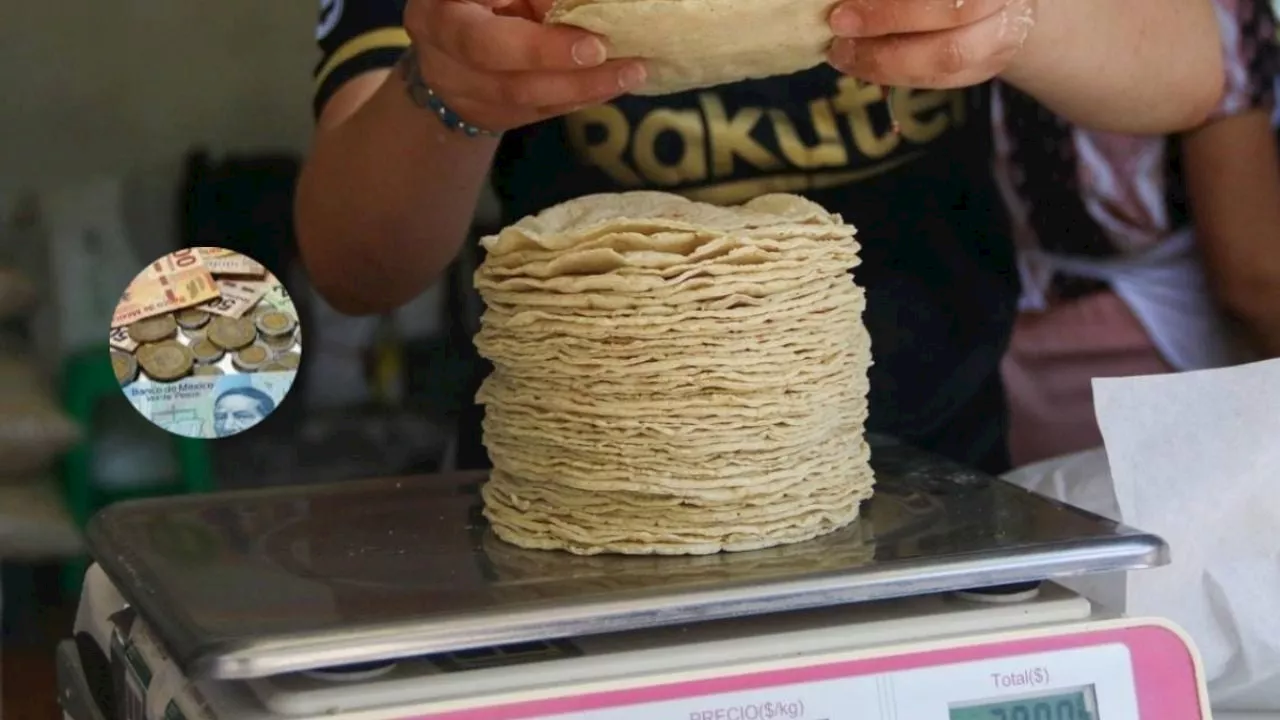 Aumento de hasta 60% aumento en el precio del kilo de tortilla