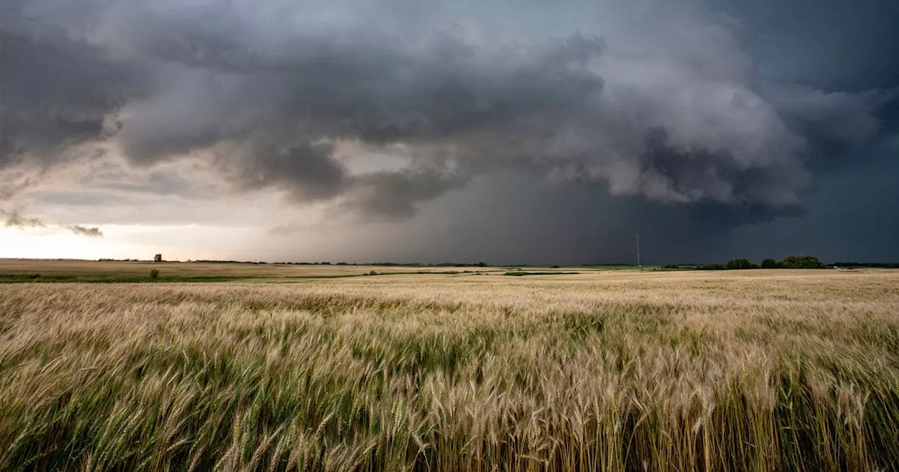 Met Office predicts more heavy rain and thunderstorms for Yorkshire