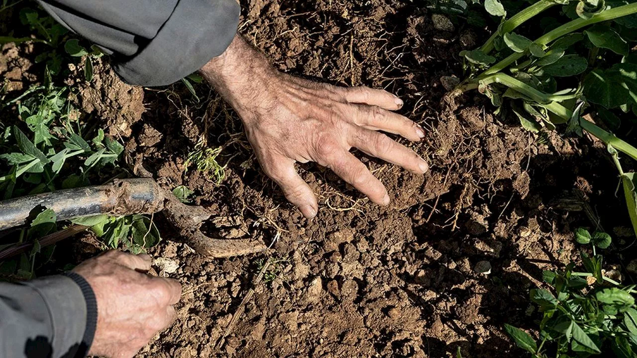 Environnement : Sauver les sols pour sauver la terre