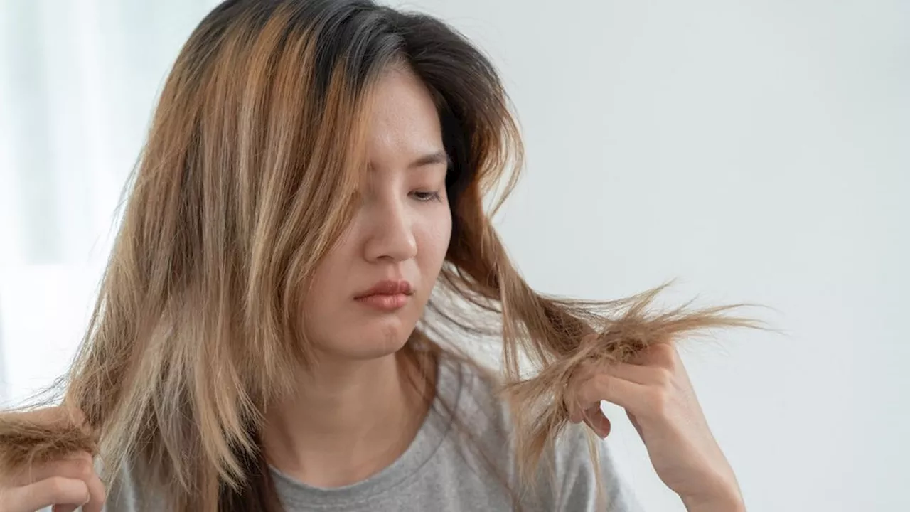 Cara Menumbuhkan Rambut Tipis Biar Lebih Lebat dan Sehat, Tanpa Perlu ke Salon Lho