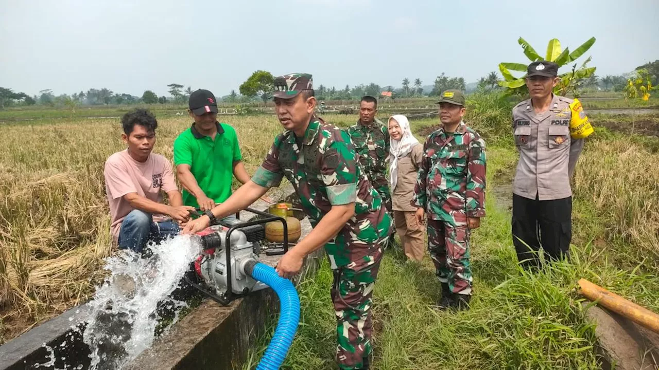 Wujudkan Swasembada Pangan, Satgas Pangan TNI Dukung Program Pompanisasi dan PAT dari Kementan