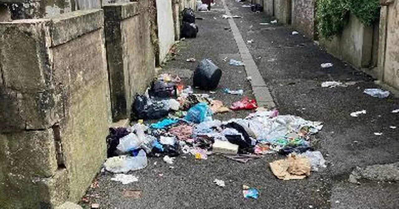 Despair on street where residents are plagued by relentless rubbish