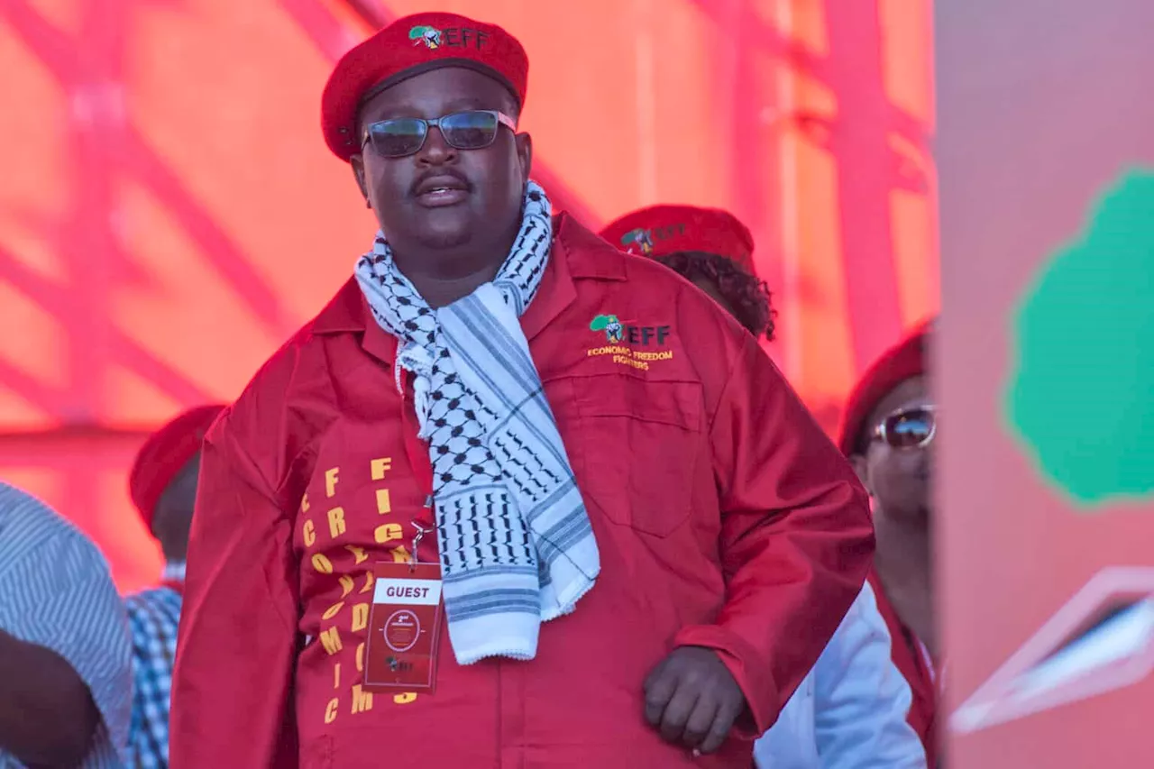 Defector Jossey Buthane says EFF is ‘bleeding support’ in Limpopo