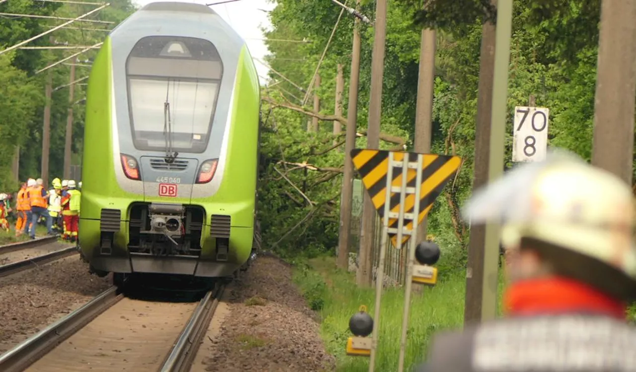 Zug prallt gegen Baum – Großeinsatz und Bahn-Chaos