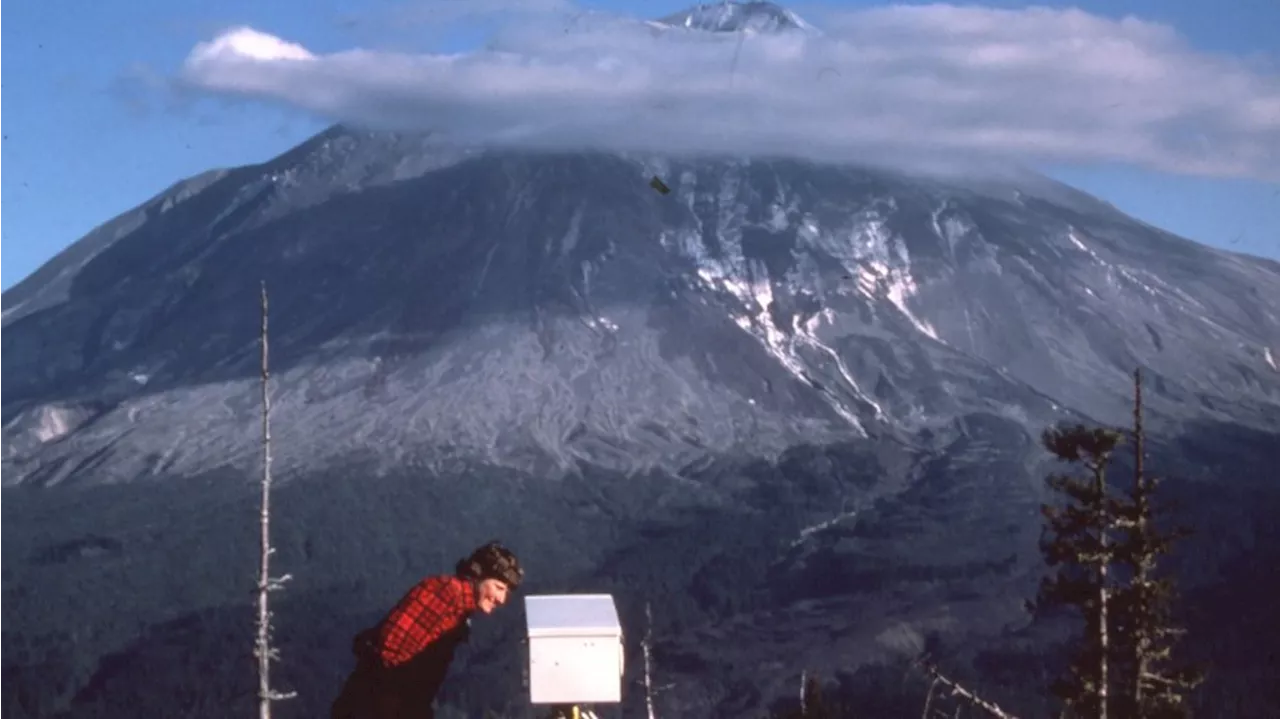 ‘We got a real gut punch from it:’ Scientist recalls deadly Mount St. Helens eruption