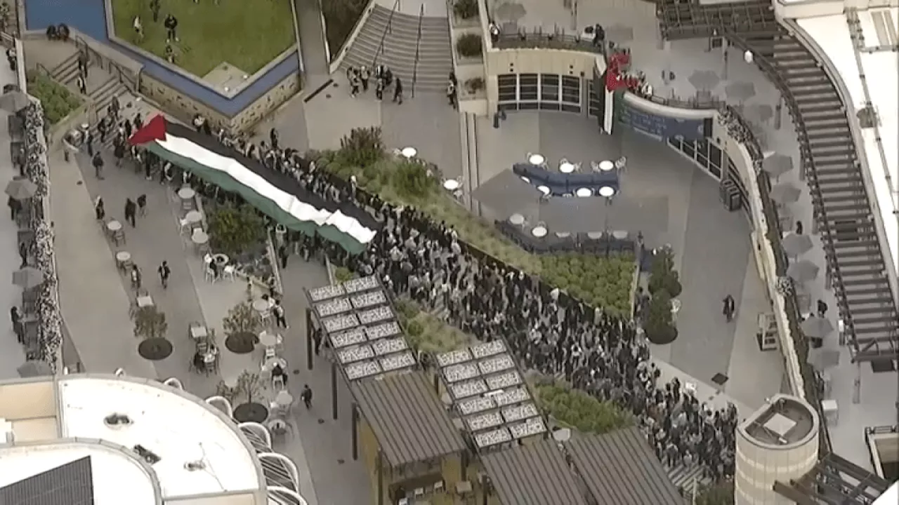 Pro-Palestinian group marches at UC San Diego as campus protests continue nationwide