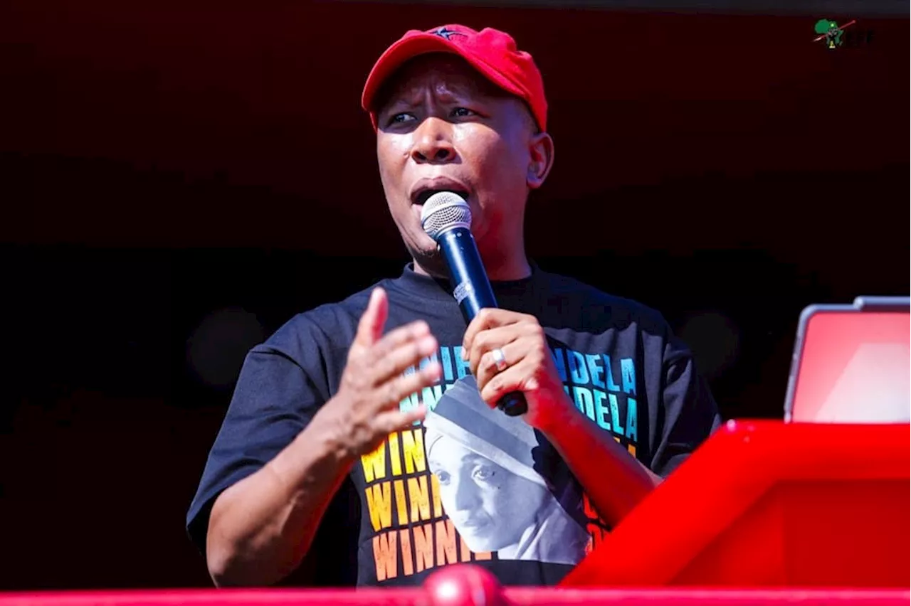 'That's the language they understand': Malema commends Mkhwanazi, KZN cops for killing alleged criminals