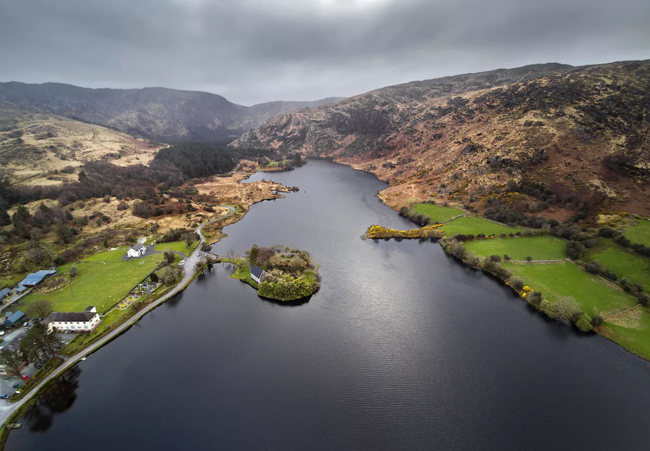 ‘There’s great relief’ - Cork's biggest wind farm refused planning