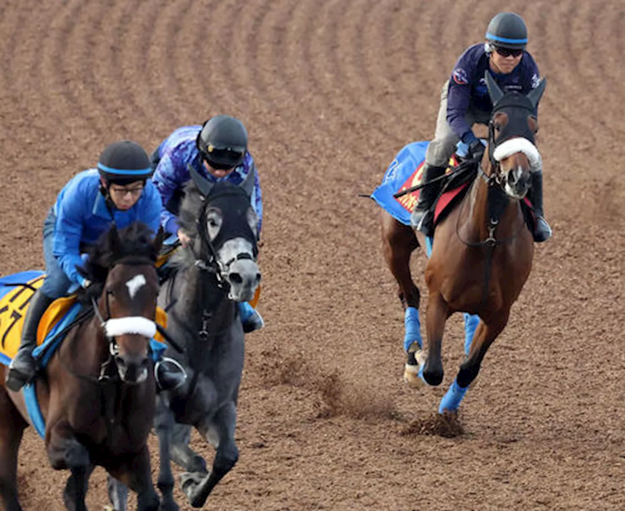 【オークス】ステレンボッシュ２冠へ急加速 高い完成度、３冠牝馬２頭と「遜色ない」