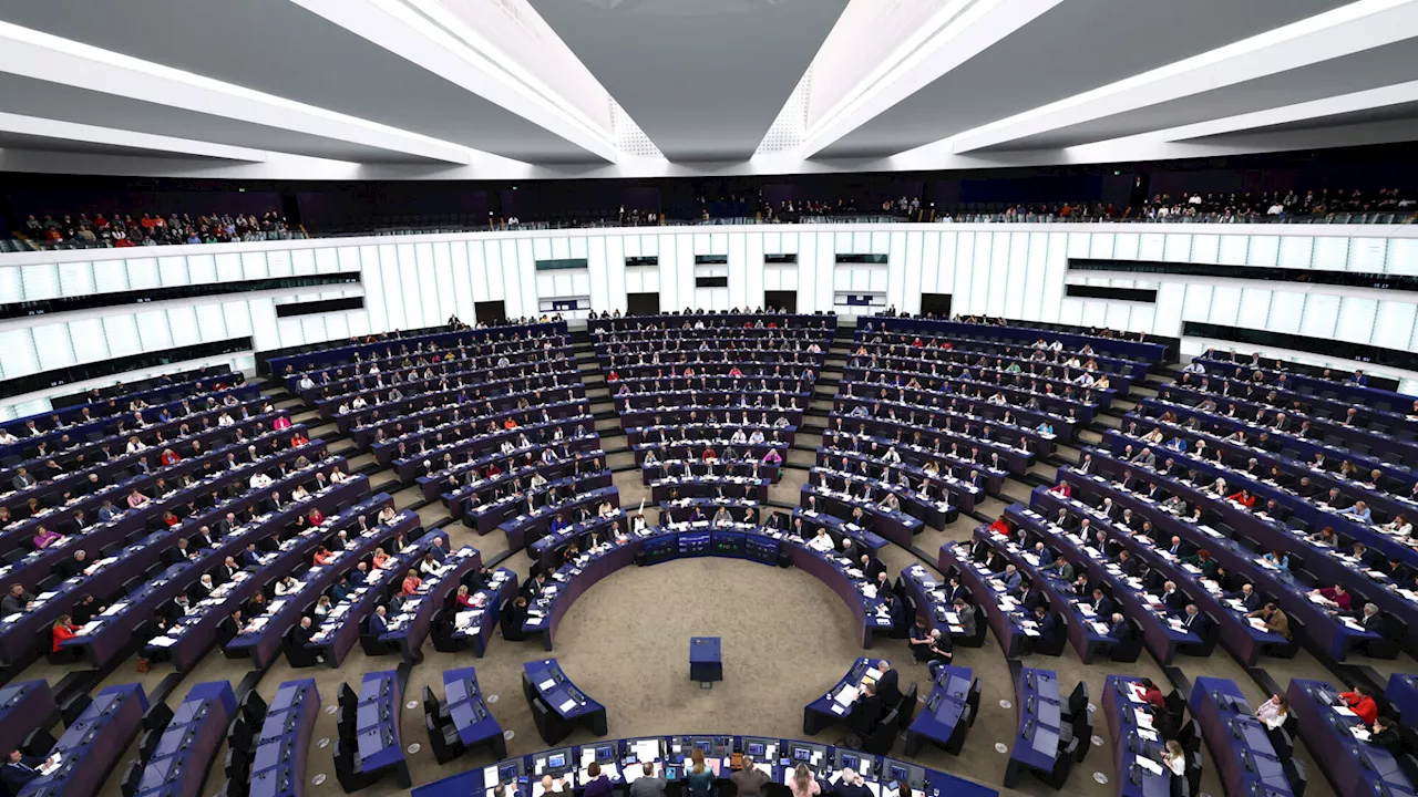 Europawahl: 27 NÖ-Landsleute wollen ins EU-Parlament