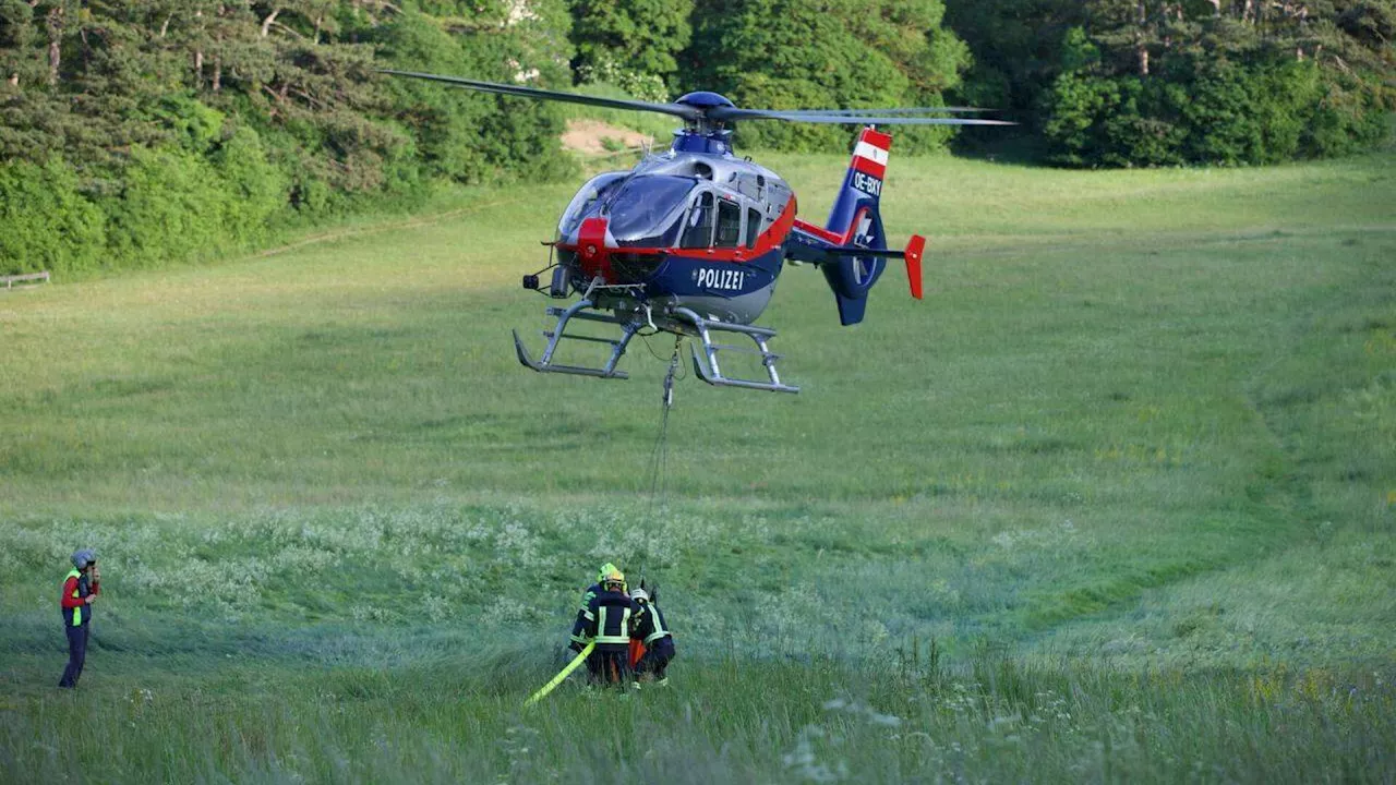 Lagerfeuer löste Waldbrand aus: Polizei ermittelt & bittet um Hinweise