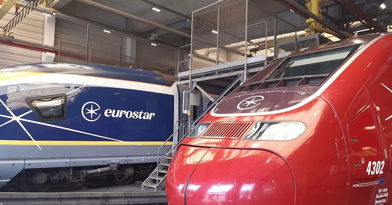 Schnellverkehr brummt: Eurostar will neue Züge kaufen