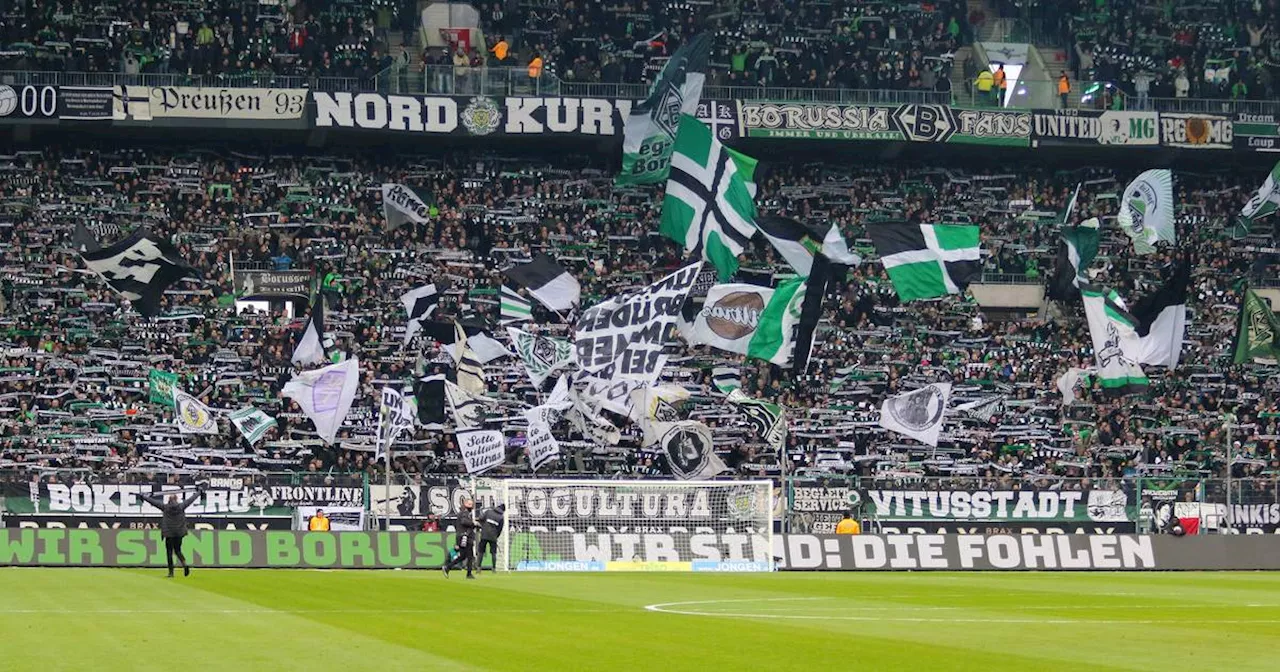 Borussia Mönchengladbach: Wunsch-Transfers der Fans gesucht