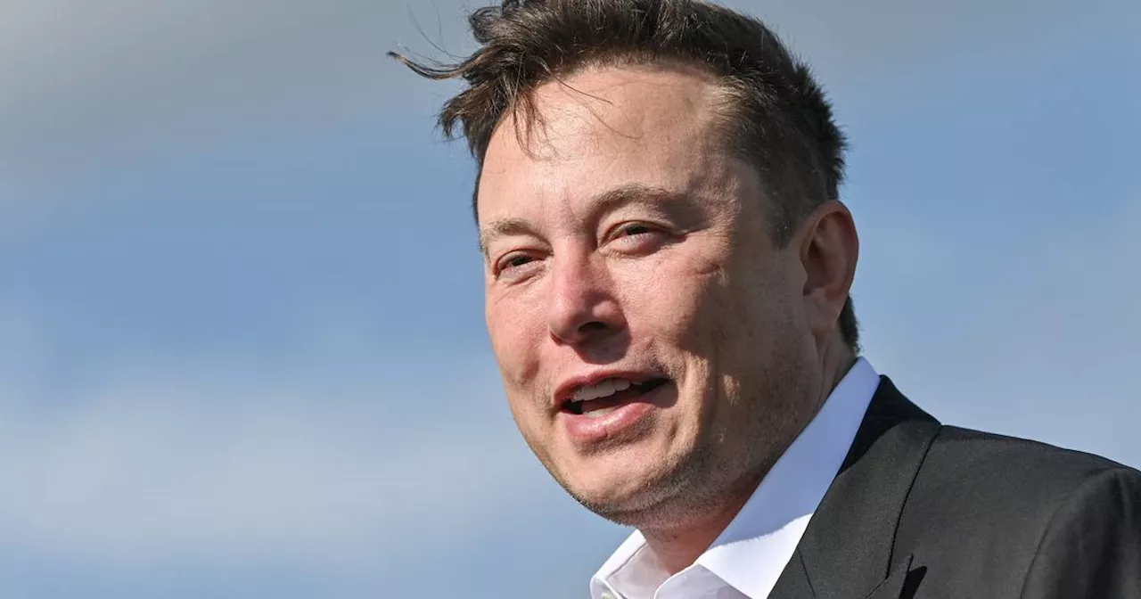 Klage gegen Tesla: Kunde verweist auf Worte von Elon Musk