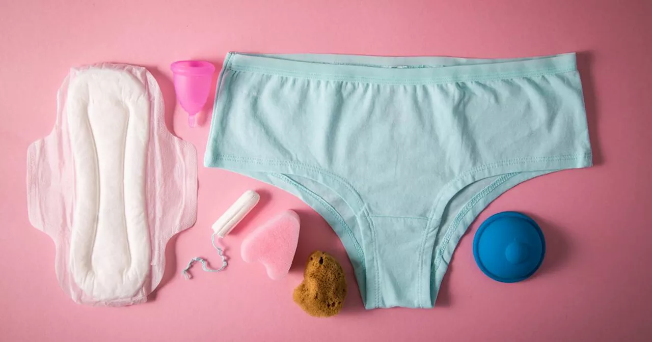 Tasse, Schwamm oder Slip – so geht Menstruation nachhaltig​