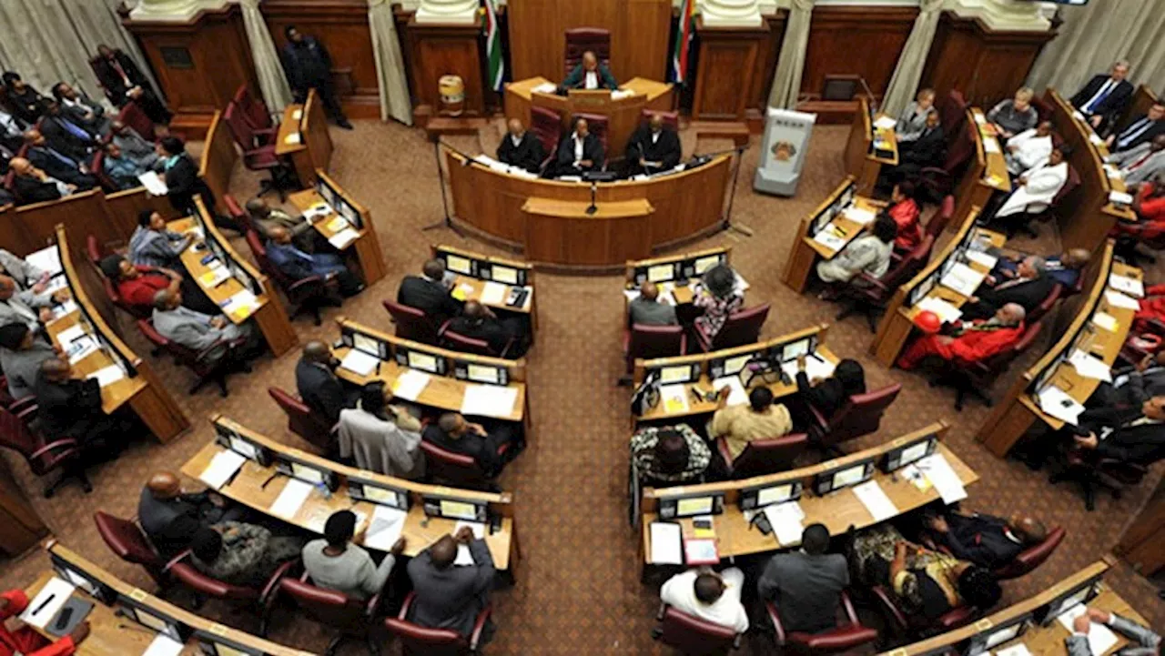 NCOP MPs share mixed views on Council's work over past 5 years - SABC News