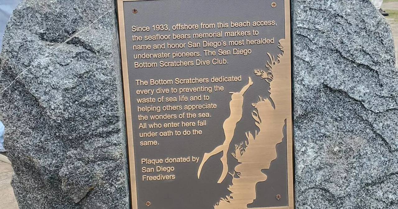 New plaque at La Jolla’s Scripps Park honors Bottom Scratchers dive club