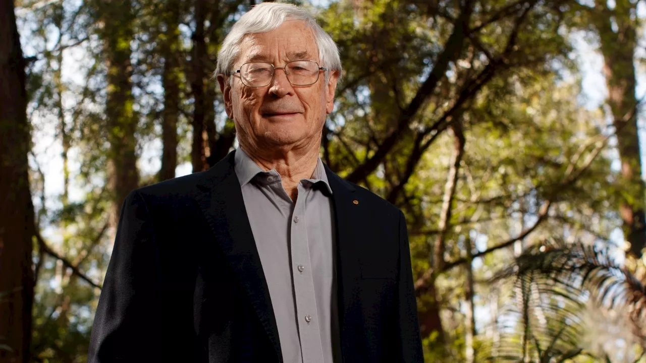 ‘Completely wrong’: Dick Smith to donate $300 energy rebate to charity as Australian millionaires slam budget ‘stunt’