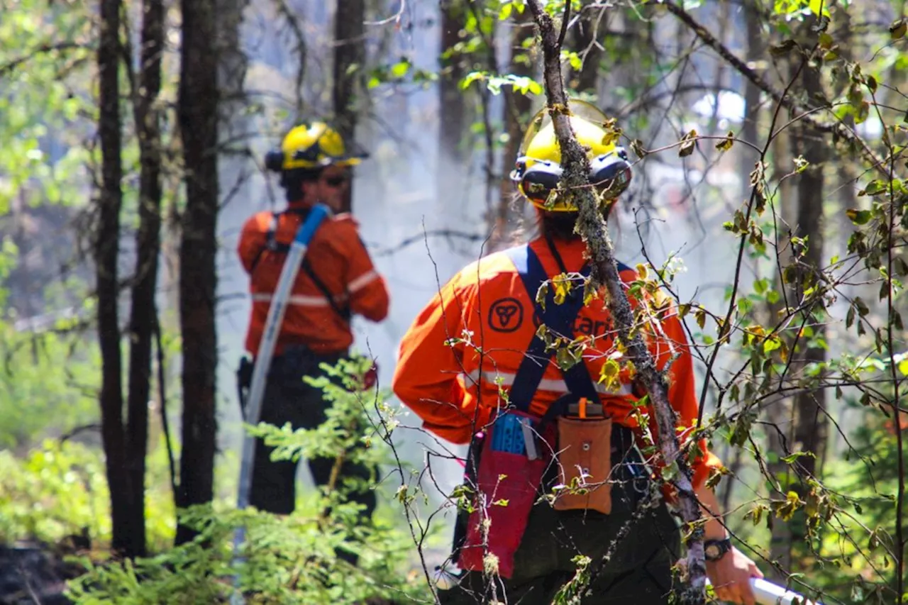 One active wildland fire in Northeast Region