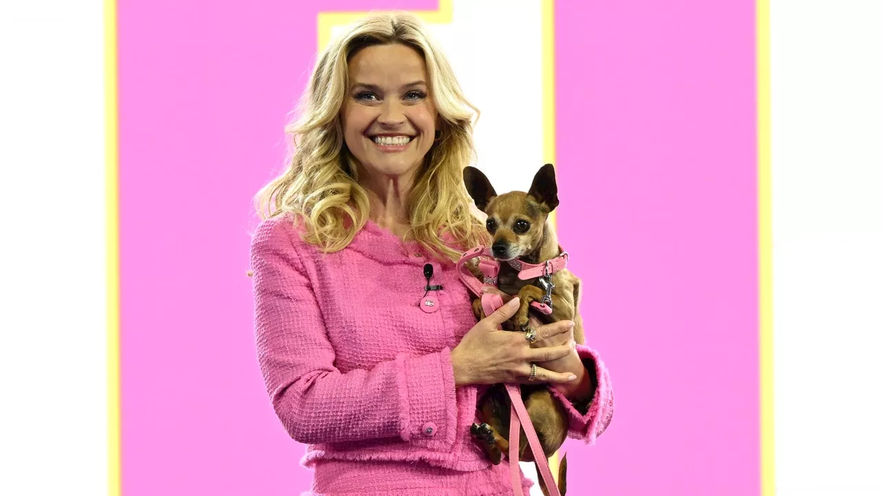 Legally Blonde Prequel Series Elle: Announcement, Release Date, Cast, and Everything You Need to Know