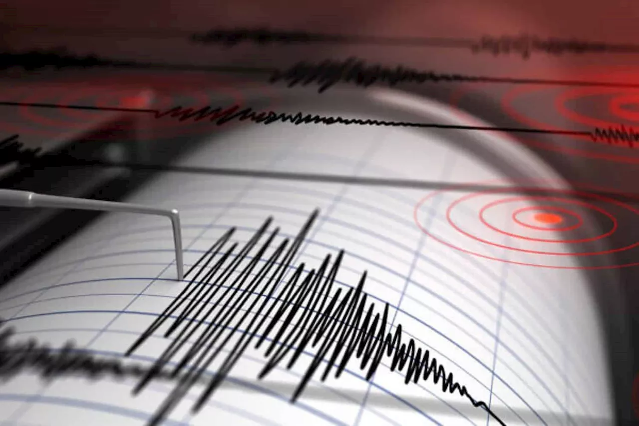 Light magnitude earthquake hits Stilfontein in North West