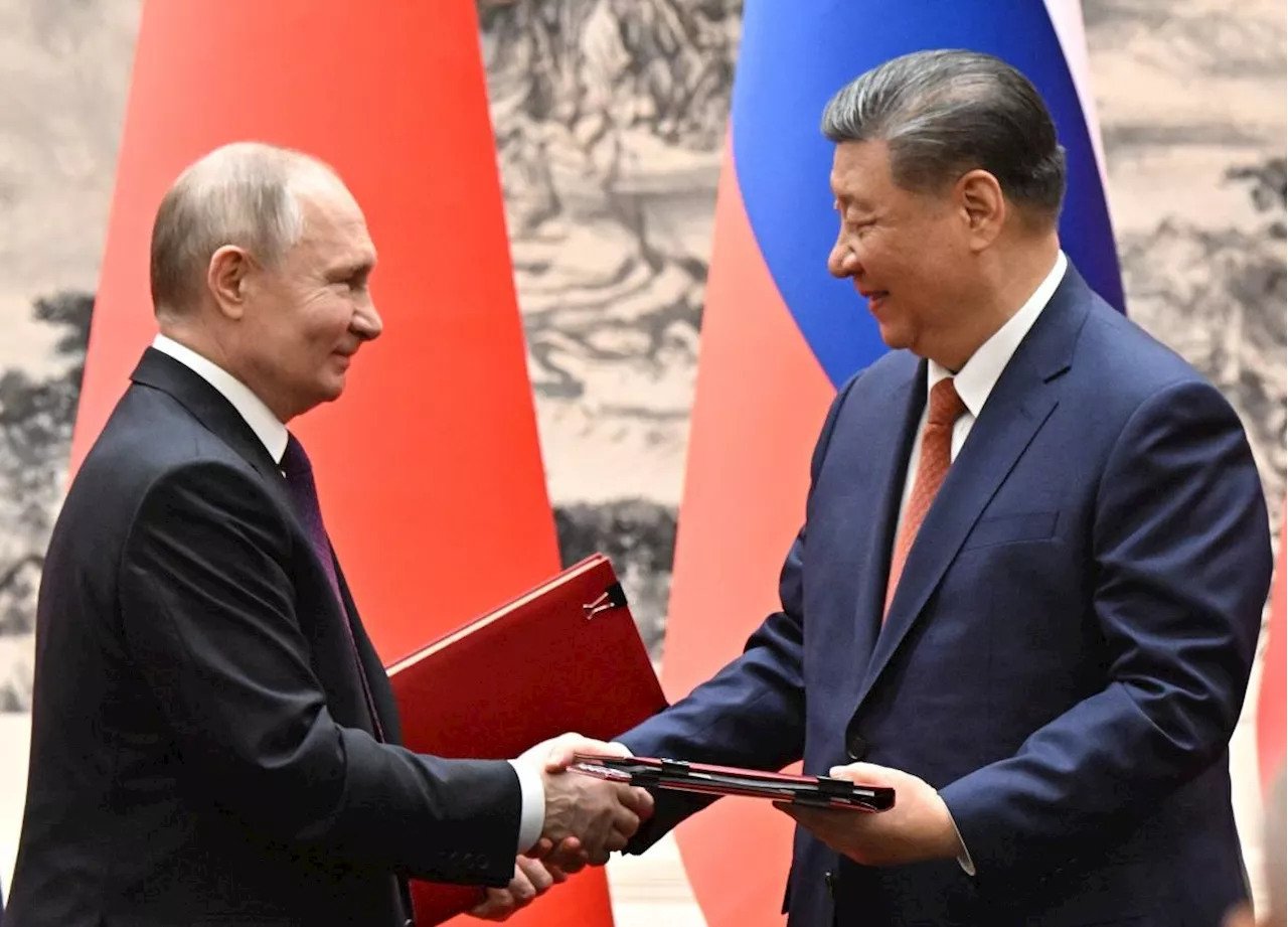 Putin 'grateful' to China for Ukraine peace 'initiatives'