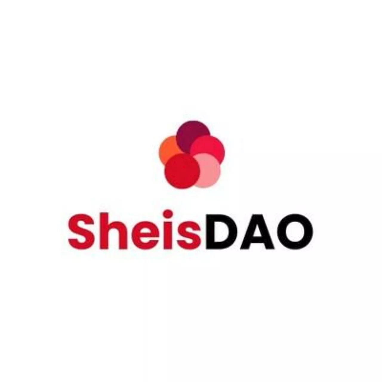 SheisDAO Launches Seed Round Fundraising to Revolutionize Digital Economy for Women