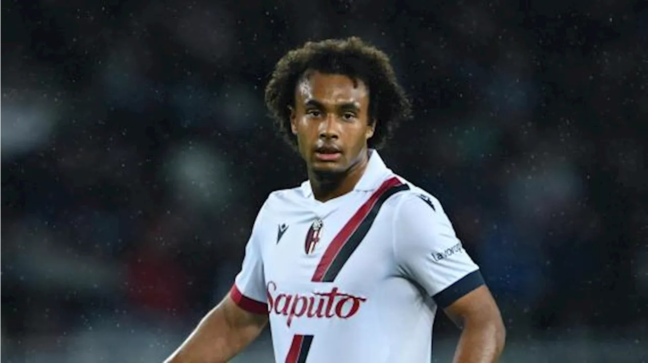 Le ultime sul Bologna: contro la Juventus senza Zirkzee, Ferguson e Soumaoro