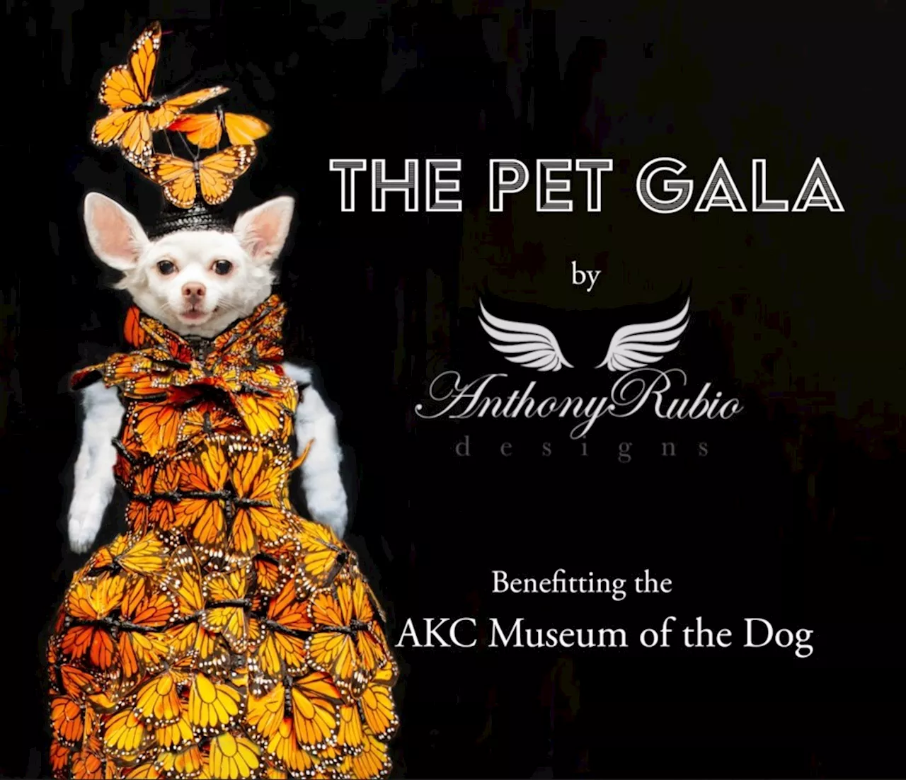 ‘The Pet Gala’ Designer Explains Designer Inspirations