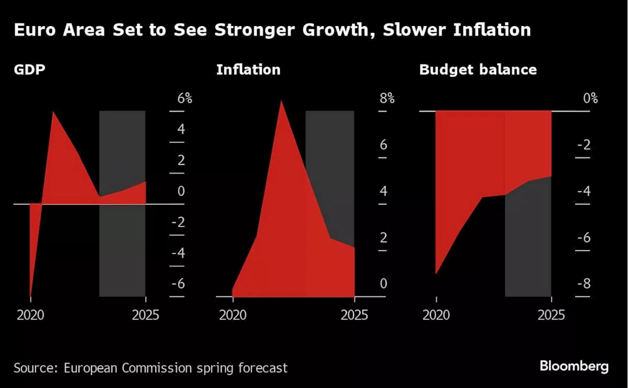 ECB Warns of Stability Risks From Global Elections, Geopolitics