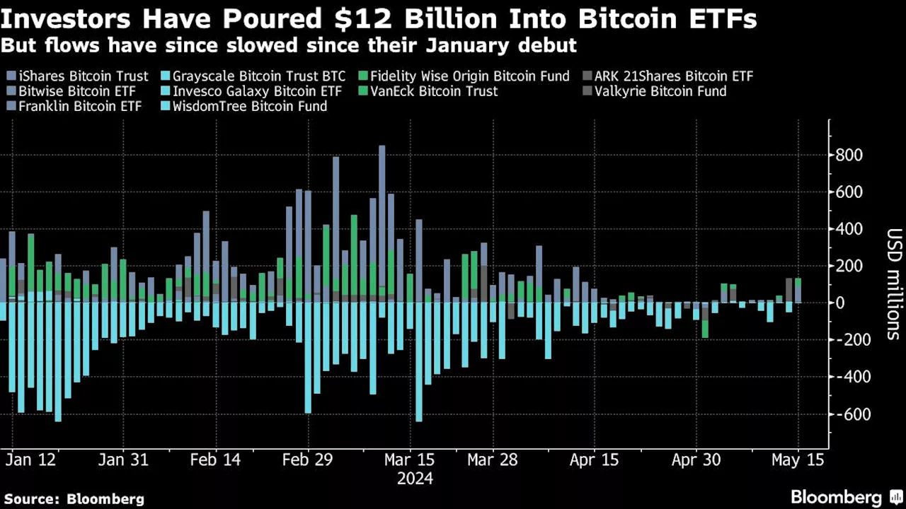 Millennium, Point72 and Citadel Are Among Buyers of Bitcoin ETFs