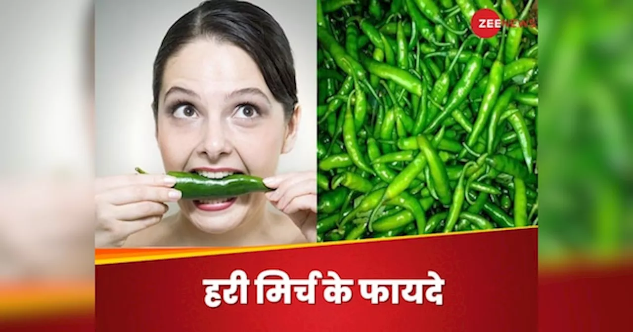 Green Chilli: हरी मिर्च के इतने फायदे जानकर भूल जाएंगे इसका तीखापन, नहीं सिकोड़ेंगे नाक-मुंह