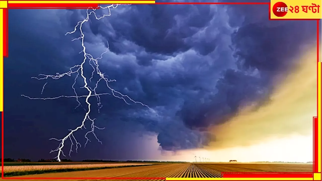 Thunderstorm Deaths: ভয়ংকর! মর্মান্তিক! বজ্রপাতে একদিনে রাজ্যে মৃত্যু ১২ জনের!