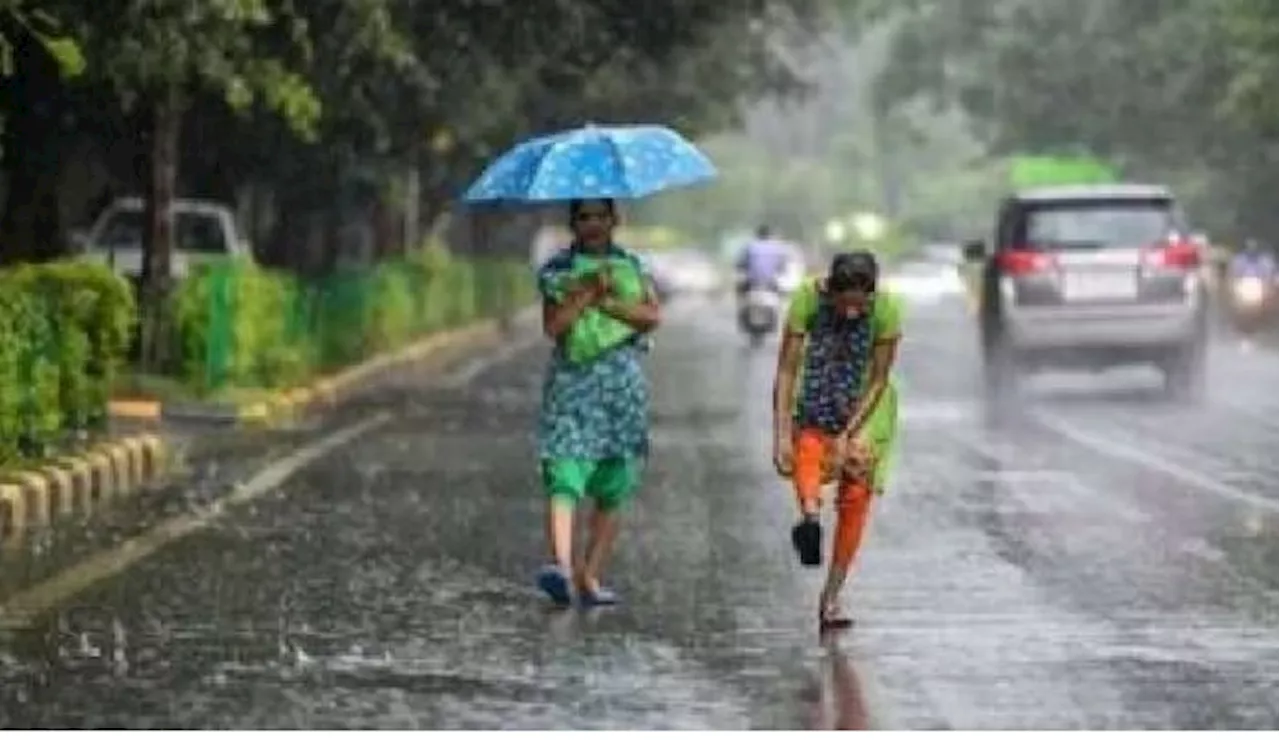 TS Weather Forecast: తెలంగాణలోని ఈ జిల్లాలకు ఎల్లో అలర్ట్ జారీ, మరో 5 రోజులు మోస్తరు నుంచి భారీ వర్షాలు