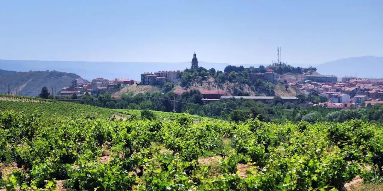 El pueblo de La Rioja rodeado de viñedos, bodegas de vino y palacios que puedes descubrir estas vacaciones